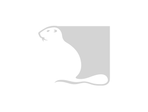 Foro Internacional | Sostenibilidad y Certificaciones para Empresas